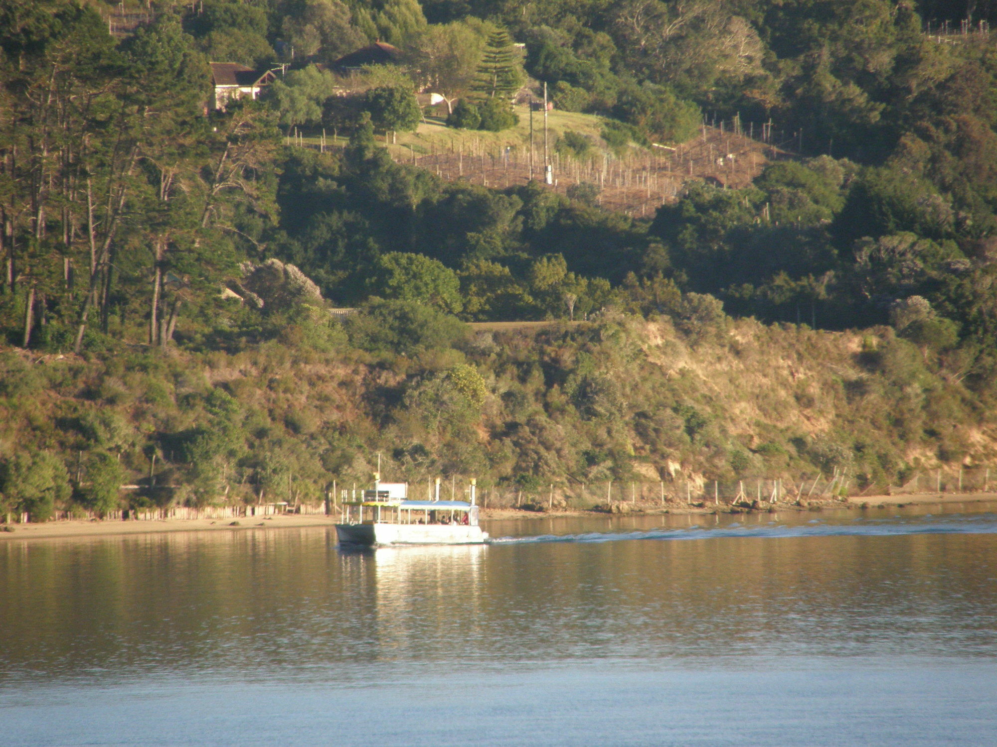 Augusta Bay Guest House Knysna Kültér fotó